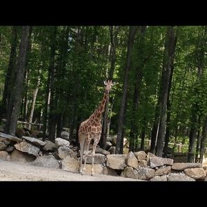 Meet your Posher, Laurie